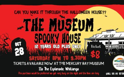 The Museum Spooky House 8pm